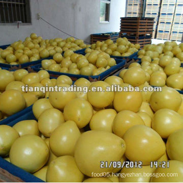 2012 fresh honey pomelo